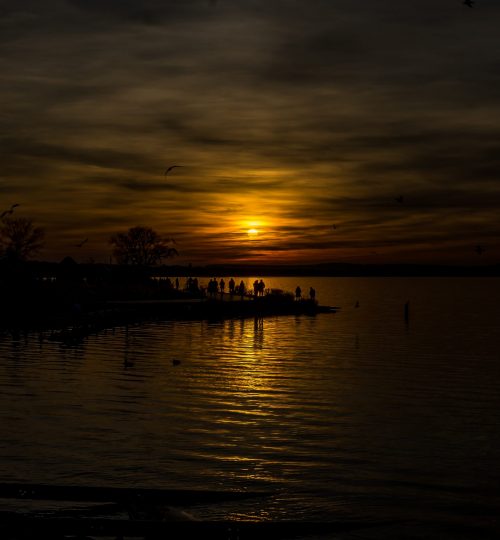 DSC00396_beb