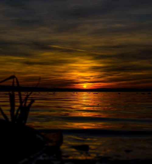 DSC00410_beb